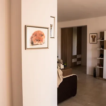 Lovely Full Of Art And Coziness Lejlighed